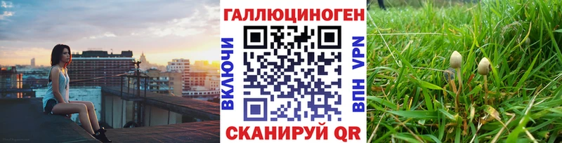Псилоцибиновые грибы MAGIC MUSHROOMS Перевоз